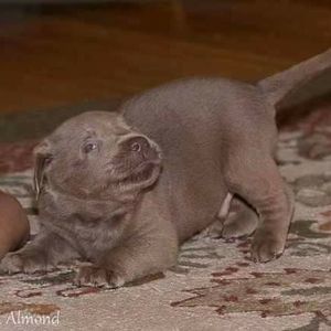 Meet your Posher, Angela